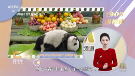 7799国产精品久久久久99